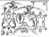 georgian-ornament-23.jpg