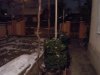 DSCN3337.jpg