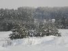 PC081930.jpg