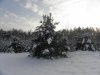 PC081946.jpg