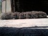 Фото0214.jpg