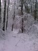 и так вокруг2012.jpg