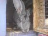 DSC00006.jpg