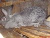 DSC00007.jpg