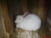 DSC00008.jpg