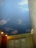 DSCN5537.jpg