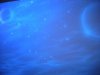 DSCN5439.jpg