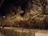 DSCN3492.jpg