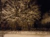 DSCN3491.jpg