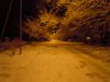 DSCN3489.jpg