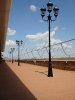 DSC08538.jpg