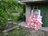 DSC00138.jpg