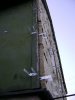 DSC001301.jpg
