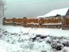Зображення0468.jpg