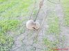 DSC01535.jpg