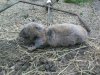 DSC00546.jpg