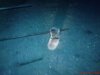 DSC00930.jpg