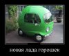 6415ладаГорошек.jpg