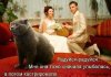 кот-яйца.jpg