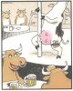 коровы.jpg