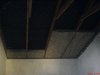 DSC01194.jpg