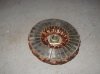stator_bee.JPG