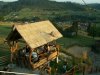 PICT1739.JPG