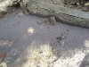 DSC05392 [Разрешение рабочего стола].JPG