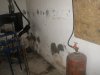 P9050031.JPG