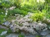 PIC_0106.JPG