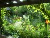 PIC_0079.JPG