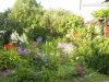 PIC_0096.JPG