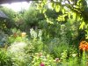 PIC_0078.JPG