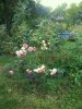 100_0453.JPG