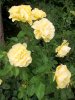 100_0265.JPG
