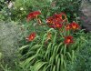 100_0119.JPG
