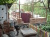 P1020497 [Разрешение рабочего стола].JPG
