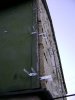 DSC00130_1.JPG