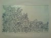 DSC00466.JPG