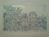 DSC00467.JPG