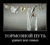 getImage (23).jpg