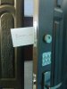WP_000628.jpg