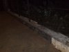 311020126408_thumb.jpg