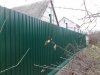 281120126557_thumb.jpg