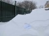 IMG_9718__.jpg
