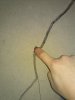 CAM00250.jpg
