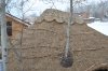 DSC_0686.JPG