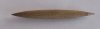 lancet1.JPG