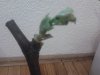 2013-03-31 15.15.19.jpg