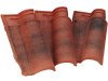 Elite_anticato_scuro800x600.jpg